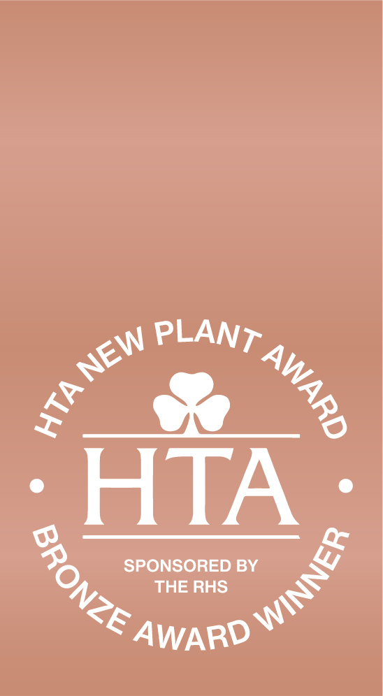 hta-bronze award - Living Creations